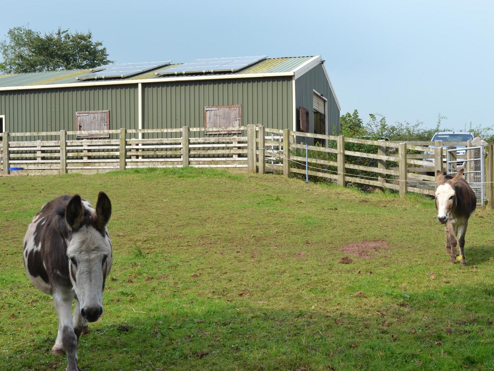 Paxton View Barn Villa Llanddarog Kültér fotó